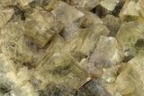 Yellow-Green Cubic Fluorite Crystal Cluster - Morocco #223911-2